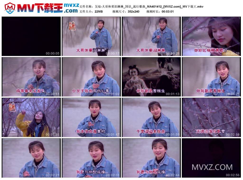 吴琼-大哥休要泪淋淋_国语_流行歌曲_MA401412